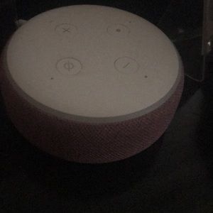 Plum echo dot